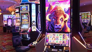 Responsible sports betting and account safety reminder on kg444